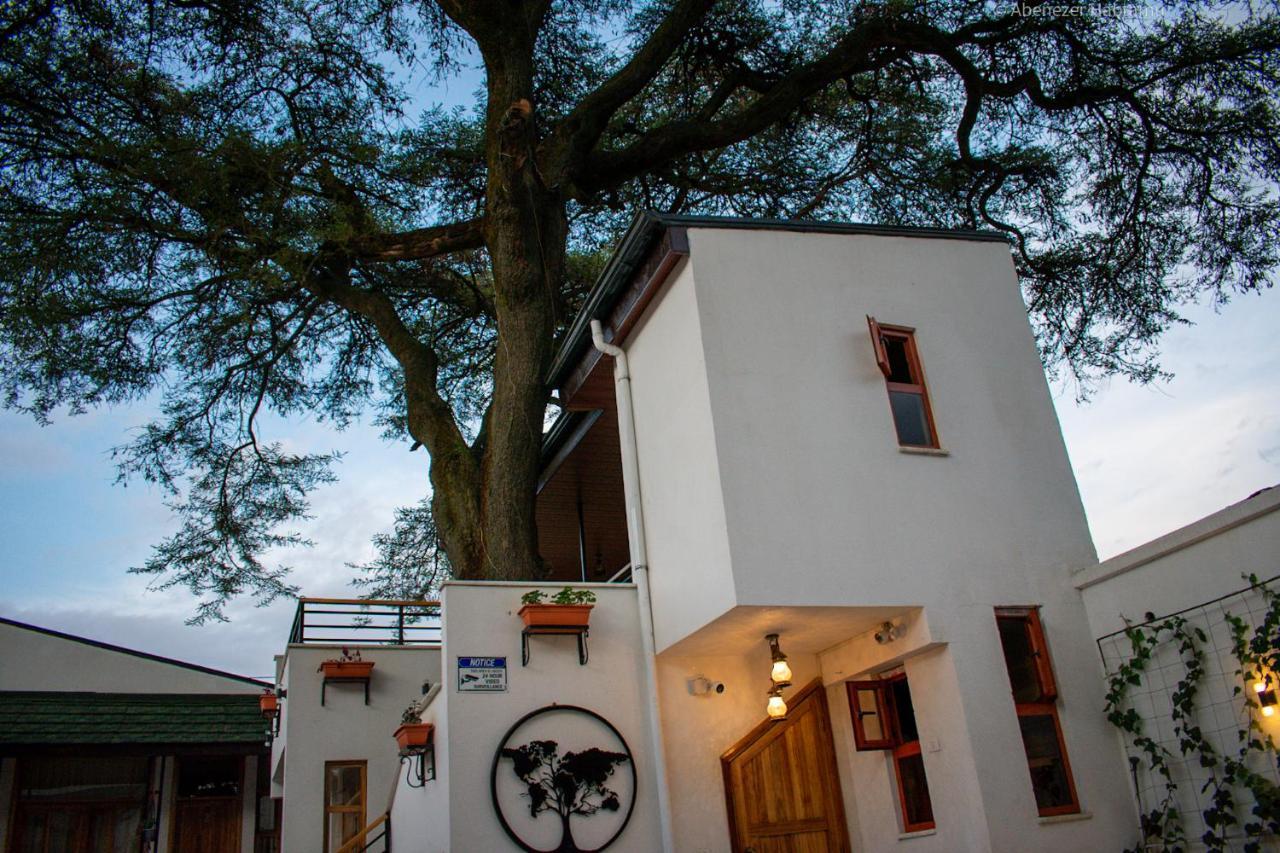 Choice Guest House 2 Αντίς Αμπέμπα Εξωτερικό φωτογραφία